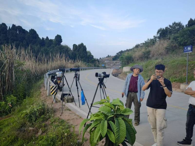 雨山区电商产品视频拍摄制作：如何打造高转化的电商视觉内容？